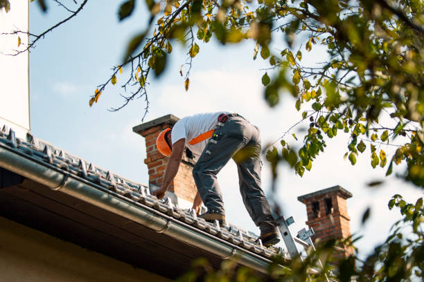 Best Tile Roofing Contractor  in Collinsville, MS