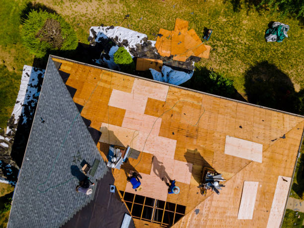 Best Flat Roof Repair Services  in Collinsville, MS