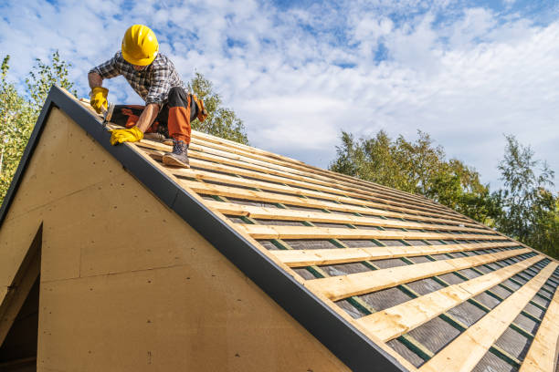 Best Roof Waterproofing Services  in Collinsville, MS